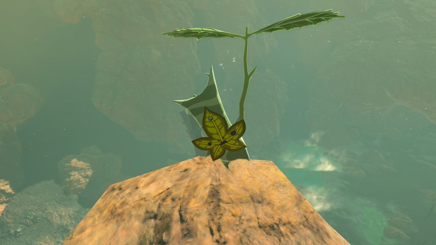 The Legend of Zelda: Breath of the Wild - Nintendo Switch 2 Edition Review - Screenshot 3 of 6