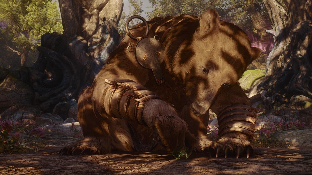 Bromius looking at an acorn.
