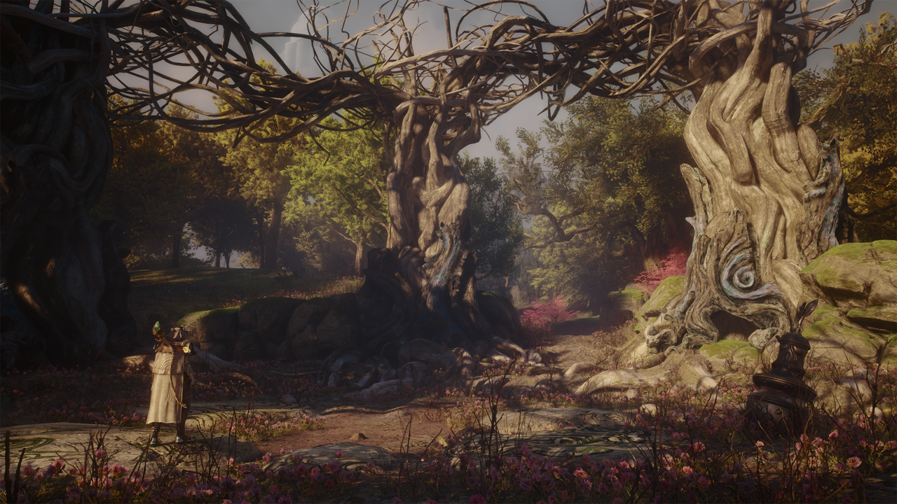 The Envoy exploring the woods.